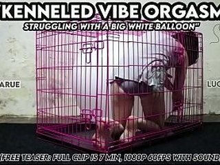 &quot_Kenneled Vibe Orgasm Struggling with a Big White Balloon&quot_